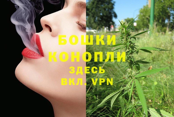 гидропоника Абаза