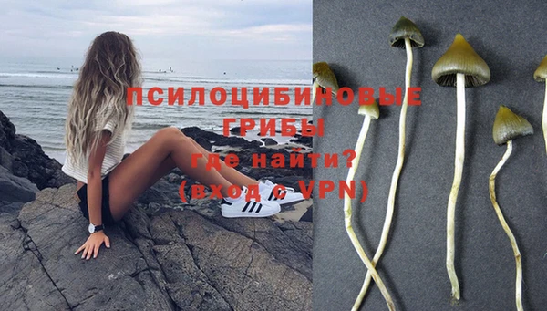 MESCALINE Абинск